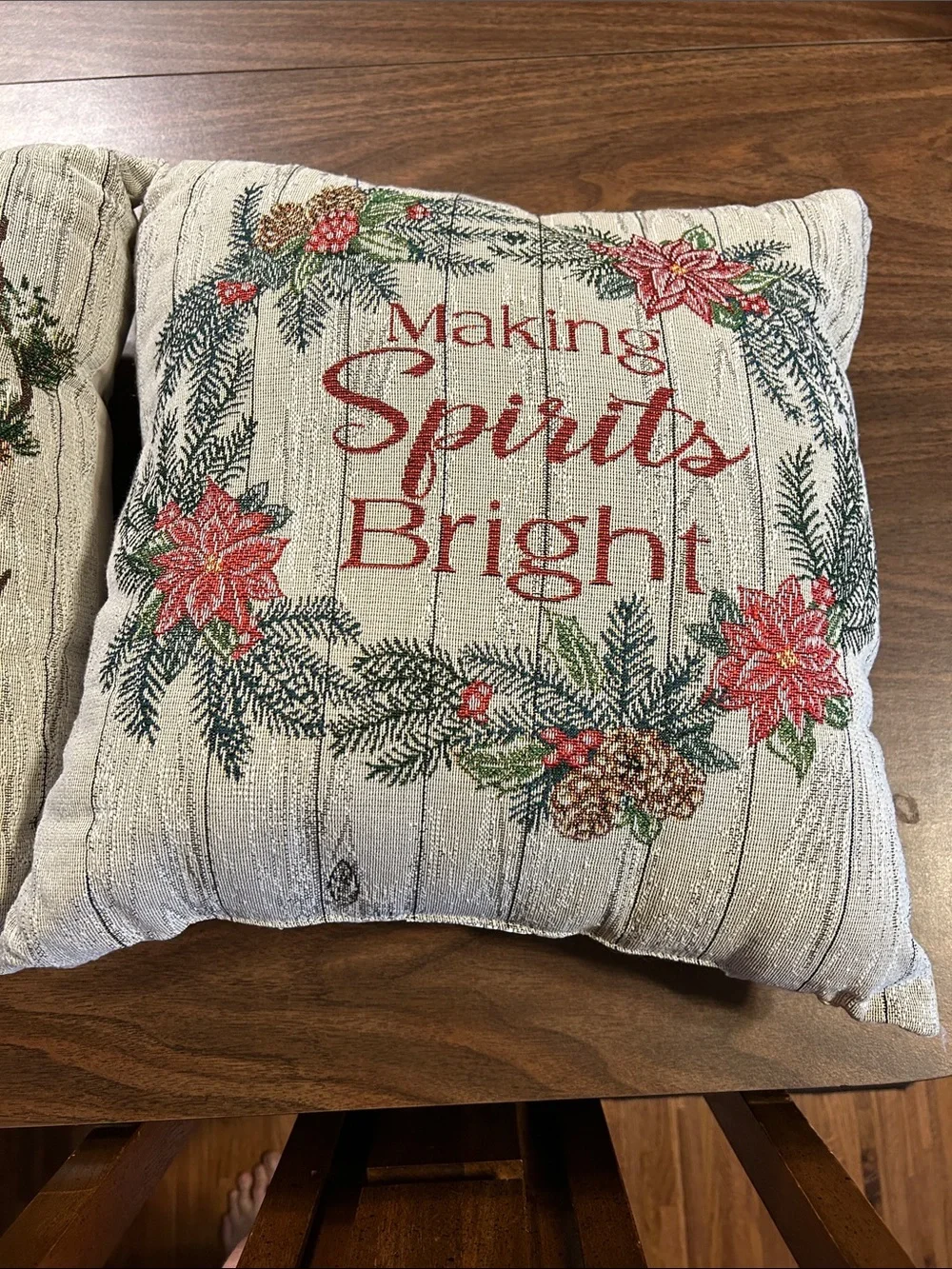 2 Holiday Throw Pillows